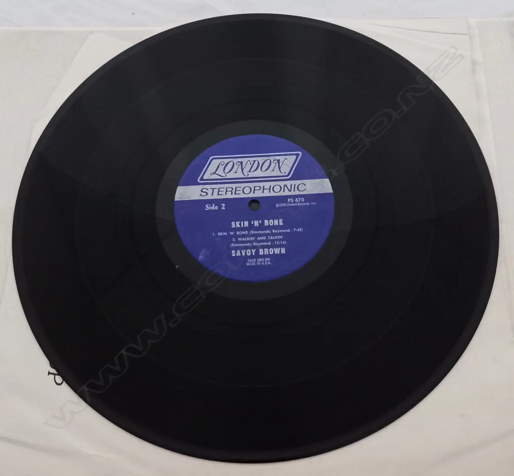 Savoy Brown, Skin 'N' Bone Image 1++